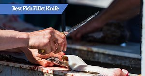 Best Fillet Knife Buying Guide