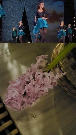 Reel Around The Sun, Riverdance - Live from New York City, 1996. Hyacinths and orchids.