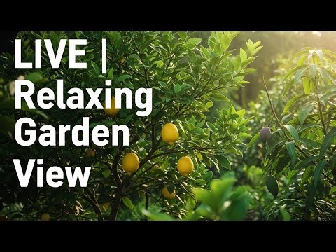 Gujju home Garden is live!