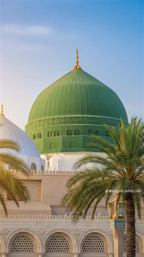 Zaree (@zaree366)’s videos with original sound - Zaree