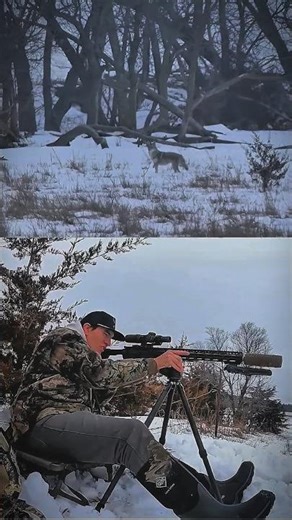 Wolf Running at Long Range – Epic Hunting Moment #blackwolf #chasse #wildlife #bowhunt #buckwild