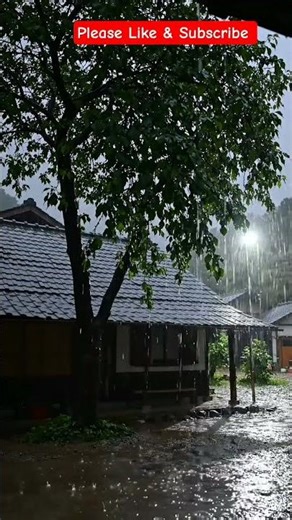 Deep Sleep With Rain Sounds 🌧️🌧️ #shorts #deepsleep #rainsounds ‪@sleepysoundsrain‬