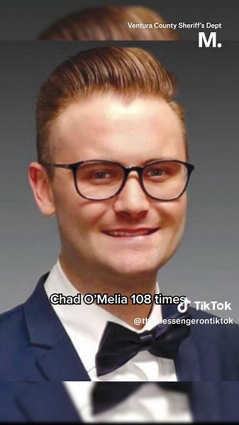 32-year-old Bryn Spejcher is accused of fatally stabbing her boyfriend 108 times and then killing her dog. Her defense team contends that Spejcher was in the midst of cannabis-induced psychosis, and her charges were reduced from murder to involuntary manslaughter. #truecrime #brynspejcher #chadomelia