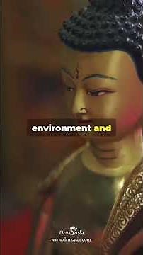 How to travel to Bhutan? Everything you need to know!