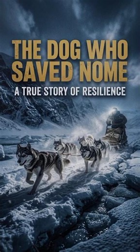 One Dog Saved Hundreds of Lives 🐕 | The Incredible True Story of Balto #Shorts