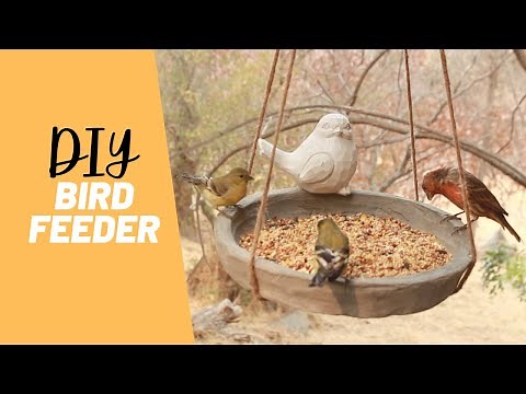 DIY Cement Bird Feeder, Easy Concrete Project, How to Make a Hanging Bird Feeder with Concrete