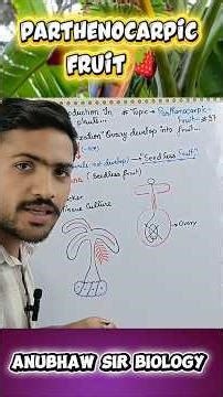 What is Parthenocarpic Fruit l Seedless Fruit class 12 l Fruit class 12 l Seed class 12 l #biology