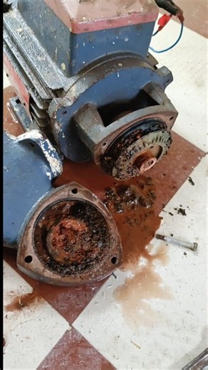 DIY Dead Water Pump Repair in 10 Minutes | DIY Motor Repair #plumbing ✅