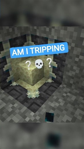 MINECRAFT LOOP is endlesss?? #minecraft #mhacommunity #memes