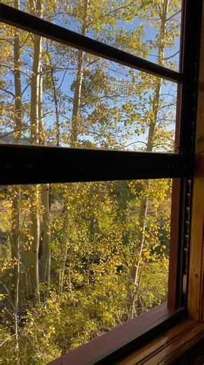 11K views · 285 reactions | Experience autumn like never before—from the historic train window or the open air gondola on the Cumbres & Toltec Scenic Railroad. It's more than a ride; it's a celebration of fall’s phenomenal beauty. Come see why this journey is simply unforgettable. | Cumbres & Toltec Scenic Railroad | Facebook