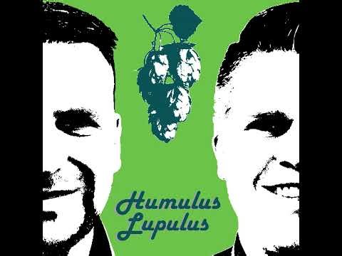 113 - Kiwis im Kühlschrank (FAB 34)