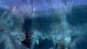 1.3K reactions · 254 shares | Learning to dive in the #FloridaKeys will give you an up-close and personal look at one of the greatest spectacles on earth. | The Florida Keys & Key West | Facebook