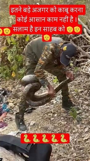 big python 🐍🐍 rescue #cola #tonykakarnewsong #shortsviral #funny #baby