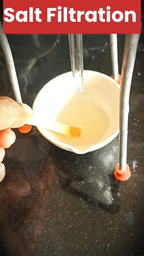 🧫Salt Filtration #experiment #scienceexperiment #laxmaniumlab