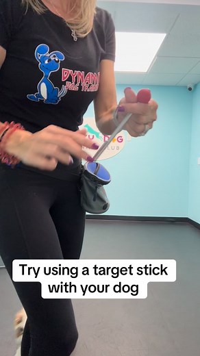 5.2K views · 31 reactions | #fyp #dogtraining #dogtrainer | Dynamite Dog Training | Facebook