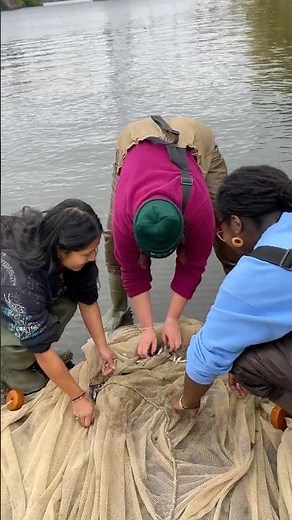 Day in the Life of the Hudson and Harbor 2025 #hudsonriver #science #conservation