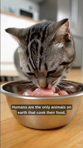 5 Amazing Human Body Facts in 35 Seconds | Mind-Blowing Science Short