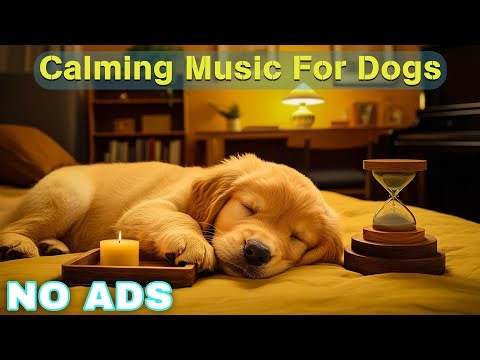 12 Hours of Relaxing Music For Dogs🐶Calming Dog Music🎧 Pet Music 💖Anti Separation Anxiety Relief 🐾