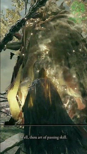 Dual Lightning Curved Sword Pure Faith Dex Build #eldenring #legendarypixel