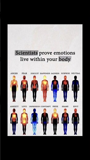 Scientists Prove Emotions Live Within Your Body - Physical Locations
