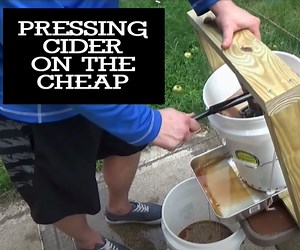 How to Make Apple Cider on a Budget With Everyday Items