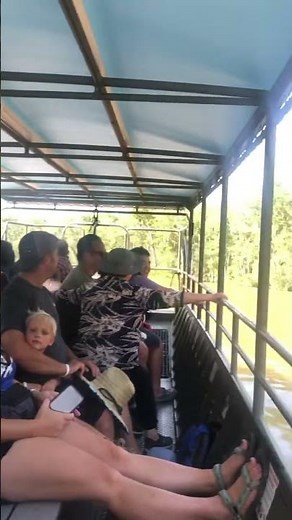 Cajun Encounters Tour Company- Take a swamp tour at the Honey Island Swamp and see all the wildlife