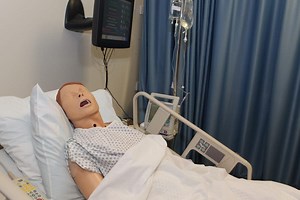 Oakton Nursing “Patients” Suffer a Hard Knock Life