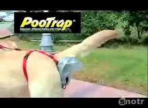 Magic Poop Collector