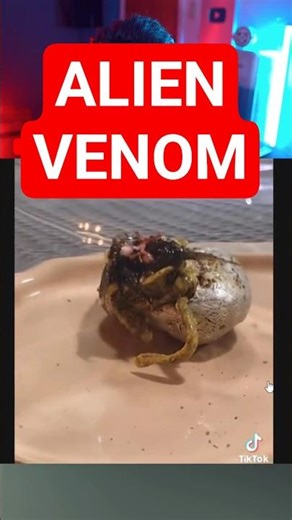 Alien Venom Meteor Crash in Panama?