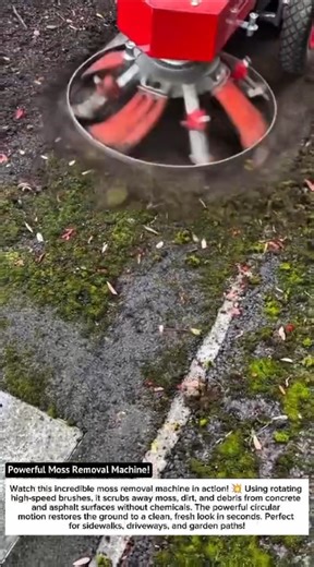 Powerful Moss Removal Machine! 💥 Cleans Pavement Like Magic! 🚜 #Shorts #FYP
