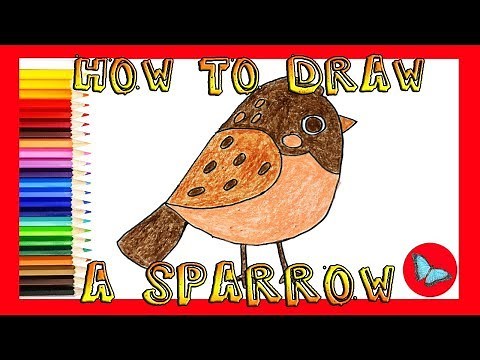 How To Draw A Cartoon Sparrow |Coloring and Drawing for Kids