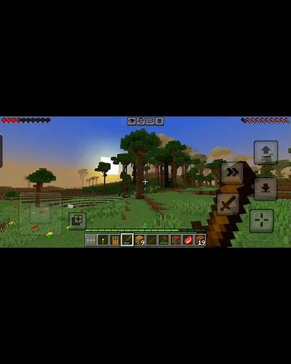 Minecraft view🙂