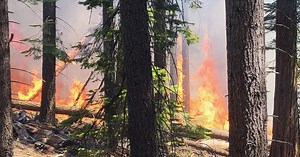 Hundreds evacuate after wildfire closes Yosemite National Park’s famed Mariposa Grove, home to 500 giant sequoias