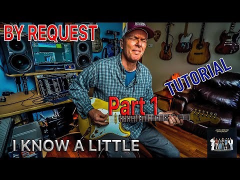 I KNOW A LITTLE (Part 1) Tutorial (By Request) Lynyrd Skynyrd