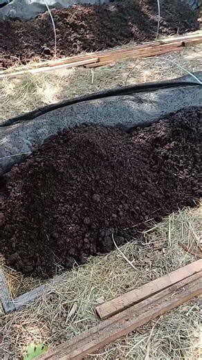 add bedding for worms