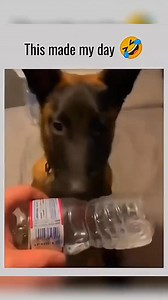 3.6K views · 13 reactions | When you were born a snake but wanted to be a ninja | Ray vines | Facebook