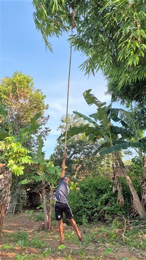 Caplok bird at standad speed #viralshort #animals