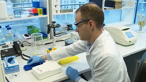 Identification of Functional Protein Regions Through Chimeric Protein Construction