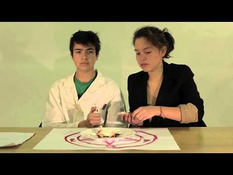 Comment invoquer le diable?