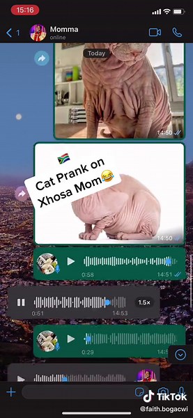Hilarious Cat Prank on Xhosa Mom in South Africa