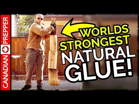 How to Make VERY STRONG Natural Glue