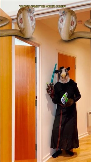 Dancing Polish Cow funny cow dance Cow Song Cow Videos alien in my bedroom funny video #shorts