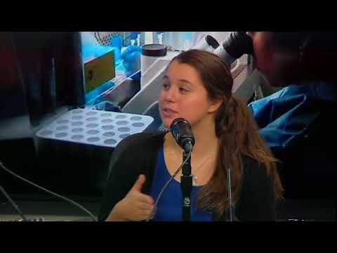 Fecal Transplant: Mayo Clinic Radio