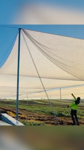 🌱 Witness the Magic of Dew Farming! 🌄 In the early morning, Jack Adelaide throws a stone against a net, causing a mesmerizing cascade of moisture to fall and nourish thirsty crops. This ancient technique, used for centuries, captures morning dew to sustain agriculture in arid regions, showcasing its historic significance in resourceful farming practices. 🌦️ This ingenious method boosts the water supply for plants and marvels at its time-tested wisdom. 💦 #DewFarming #NaturalIrrigation #Agricu