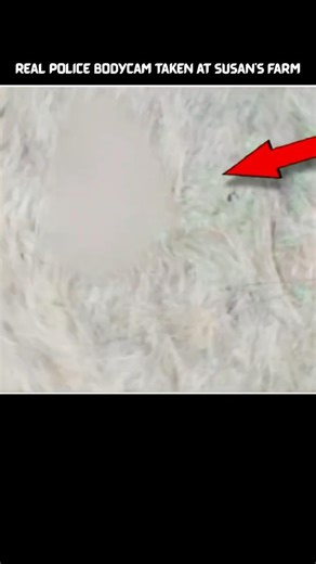 Something Terrifying is Hiding on this pig Farm #shorts