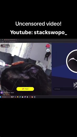 Can Cats Eat Pretzels? Calypso the Cat Tries!