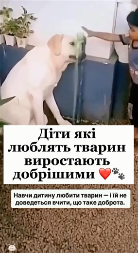 Любов до тварин формується з дитинства і саме вона вчить доброті на все життя ❤️🐾