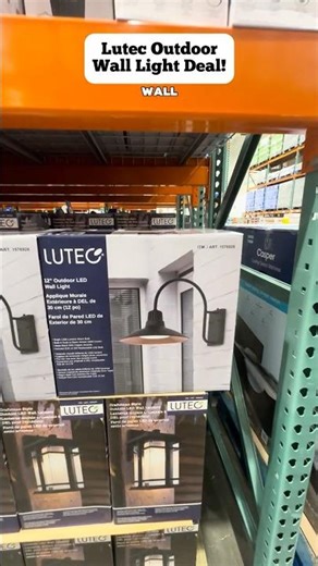 ✨ LUTEC 12” Outdoor Wall Light at Costco! ✨