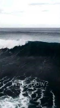 “How a Tsunami Forms” #shorts #WaitHow #Tsunami #HowTsunamisForm #EarthScience #OceanScience