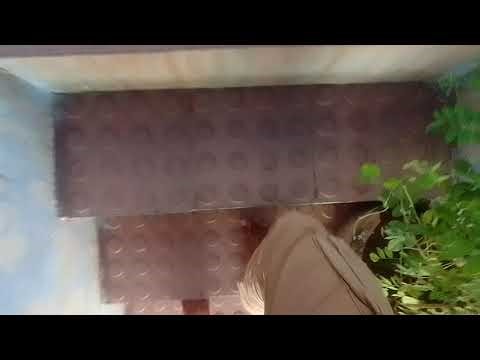 How to Climb Stairs Like a Pro: Tips and Techniques